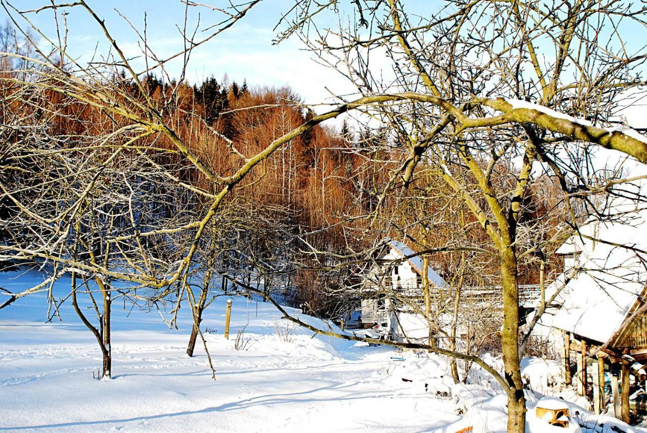 Biotanika Villa Michalkowa Exterior photo