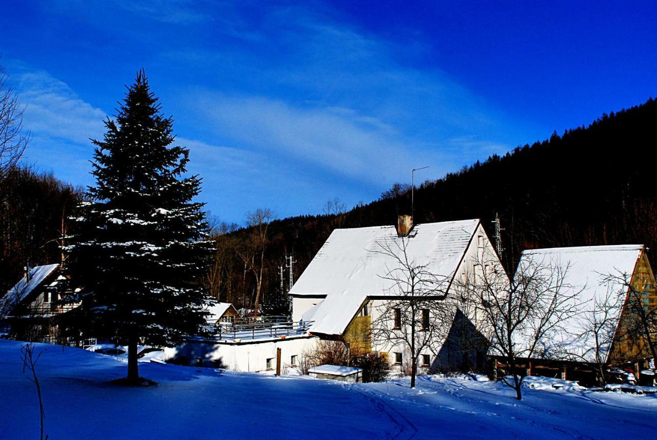 Biotanika Villa Michalkowa Exterior photo
